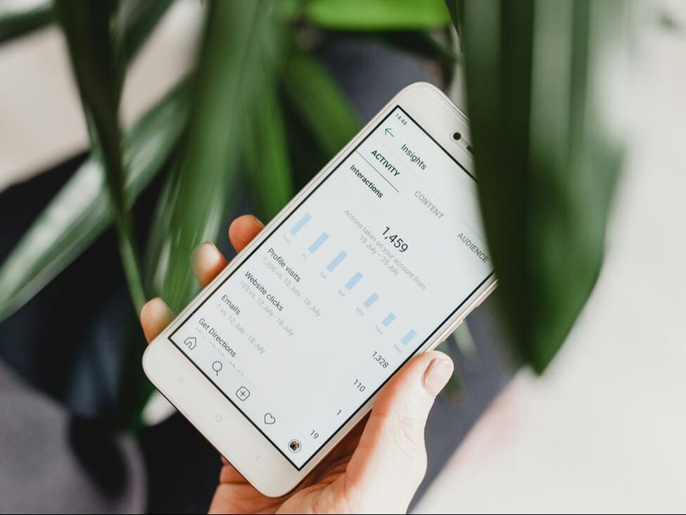 A hand holding a phone showing Instagram insights behind green leaves